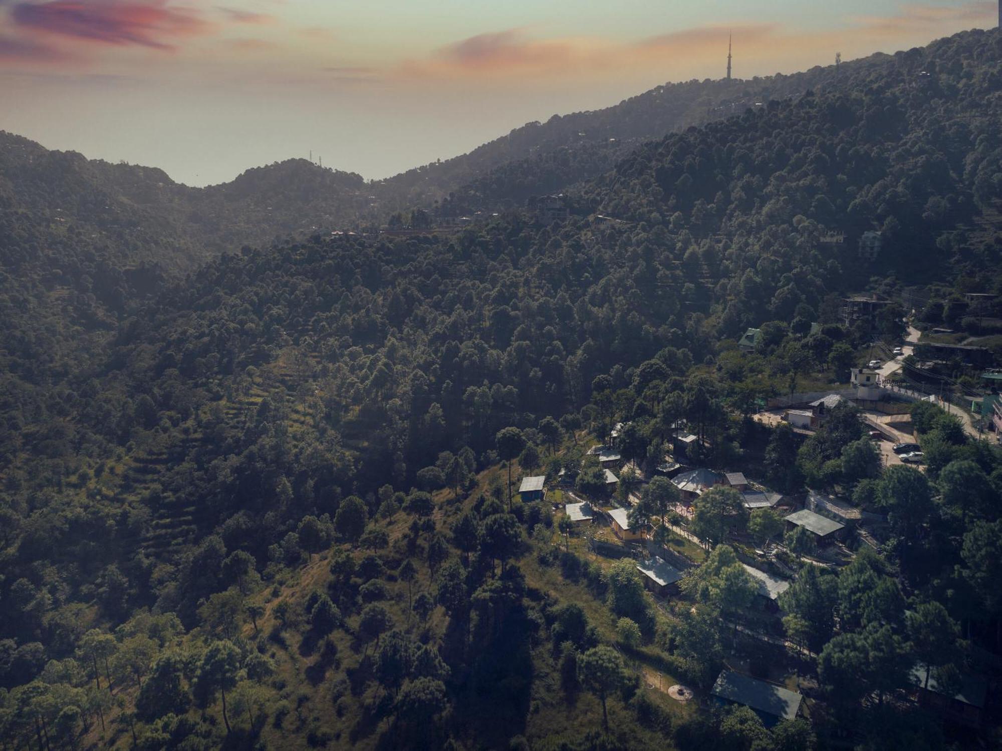 A Kasauli Ggaon By Echor Hotel Kültér fotó